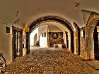 Wine-cellar-ceasar-2-