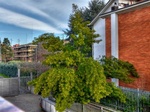 Cologno-monzese-2-hdr