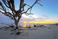 Sunrise-at-driftwood-beach