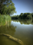 Mote-park-maidstone