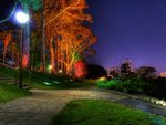 Kings-park-lights