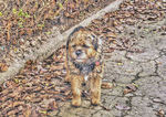 Rusty
