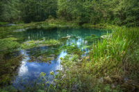 Visiting-the-river-dretulja