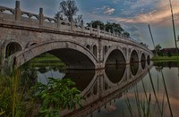 Bridge-to-the-japanese-garden