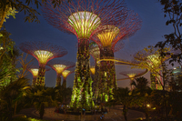 Gardens-by-the-bay-singapore-or-star-wars-
