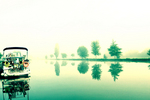 Water-boat-tree