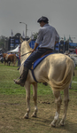 Rider