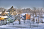 Neve