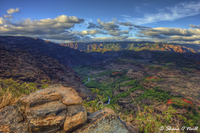Waimea-canyon-road
