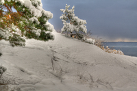 The-first-snow