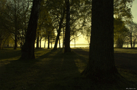 Wake-up-the-sun