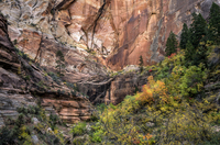 Fall-canyon
