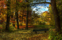 Autumn-in-the-park