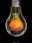 Flower-in-bulb