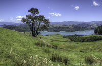 Coromandel