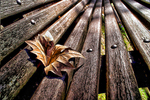 Flor-