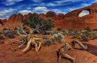 Rock-brush-2
