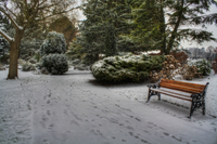 Winter-at-the-park