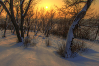 The-sun