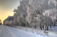 Winter-road