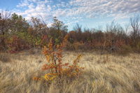 Autumn-walk-