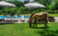 Mowing-the-lawn