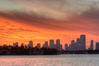 Miami-vice-