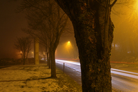 The-fog