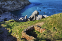 Little-orme