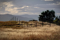 Wanaka-farmland