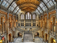 Natural-history-museum-london