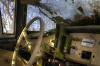 Mold-and-mosses
