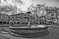 Fountain-b-w
