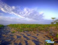 The-sand-and-the-sky