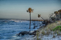 Fernandina-beach