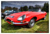 E-type-jaguar