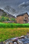 The-lonely-house