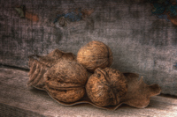 Presents-of-autumn-