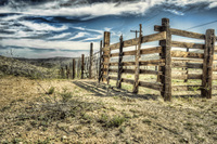 Fence-line