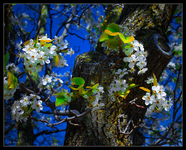 Spring-colors-