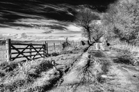 Country-lane