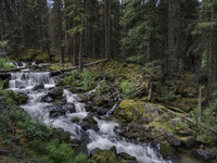 Upper-mineral-creek