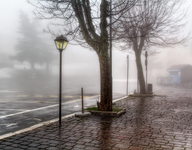 Fog-in-the-country