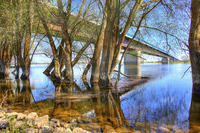 Car-bridge