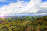 Monte-alegre-do-sul