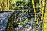 Bamboo-bridge
