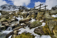 Spring-footbridge