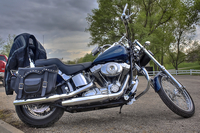 Harley