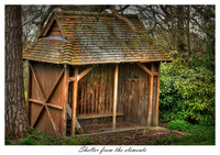 Shelter-from-the-elements