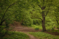 Park